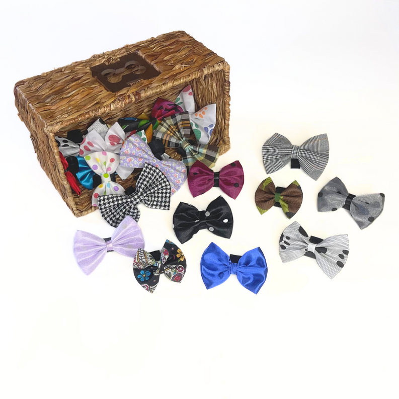 Mixed Styles Bundle|Pets Ribbons