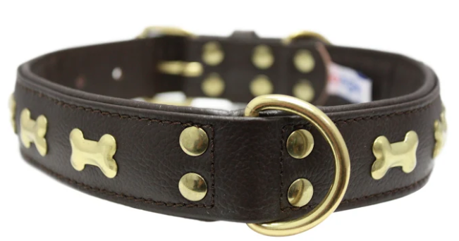 Rotterdam Bones Dog Collar by Angel 14" X 3/4" , Chocolate Brown