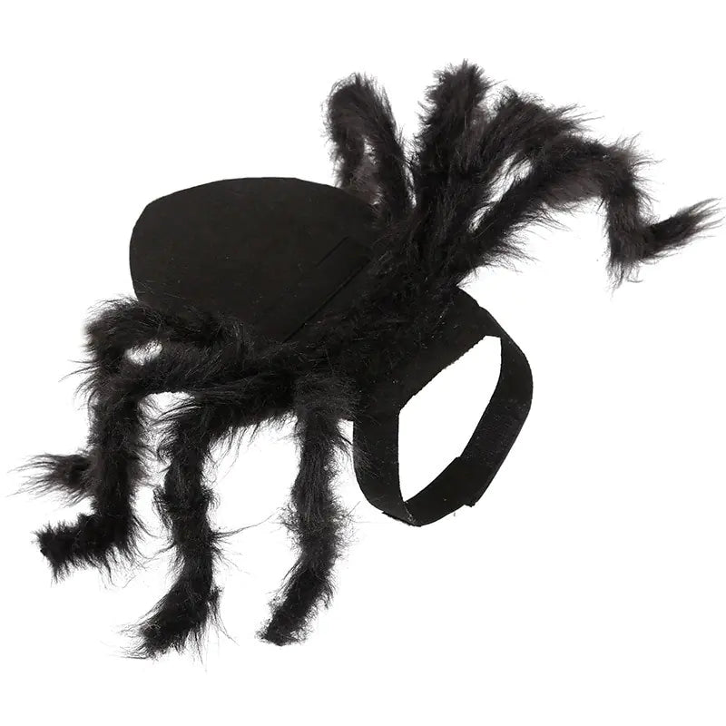 Halloween Spider Costume for Pets